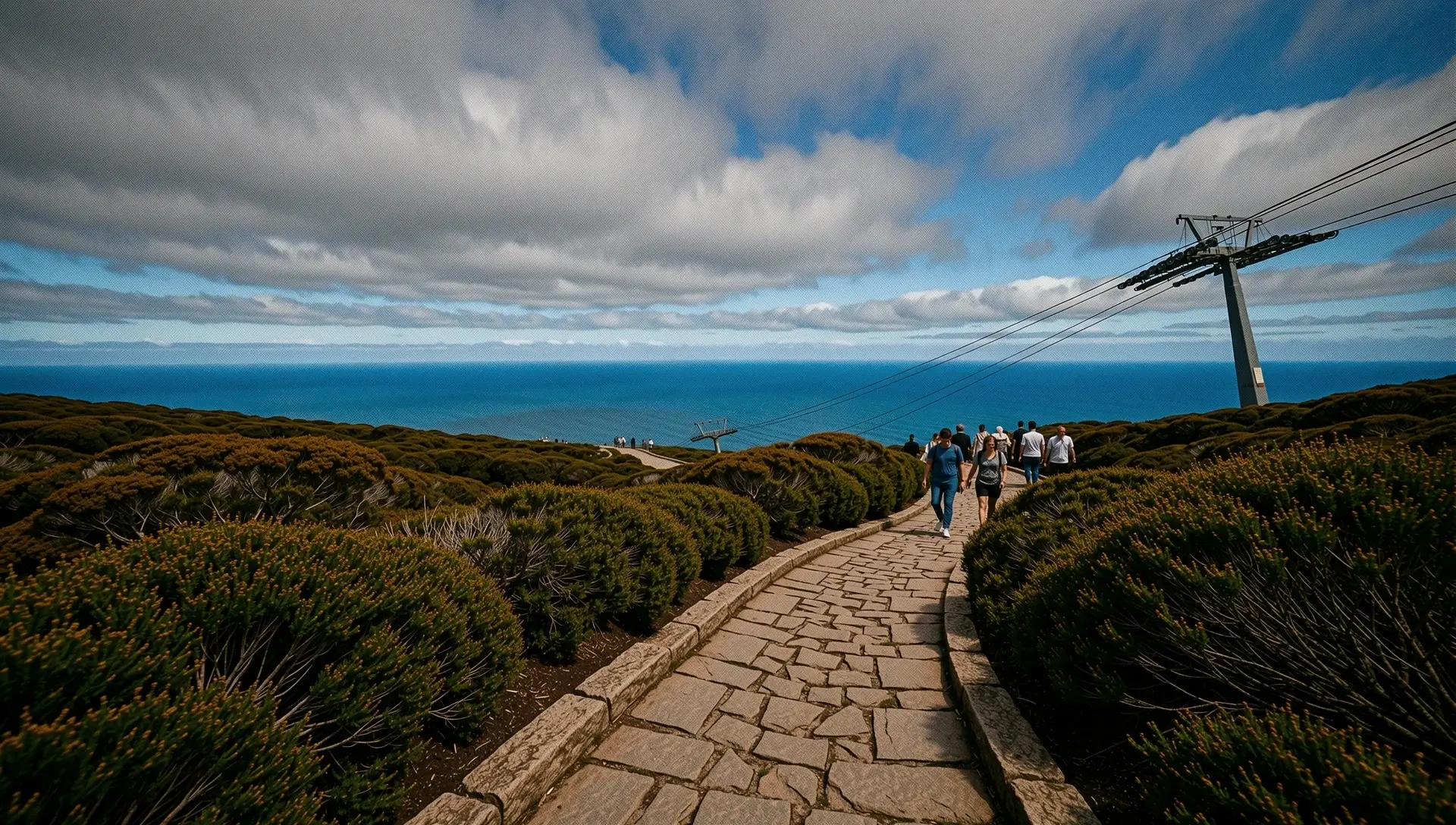 Table Mountain Summit View